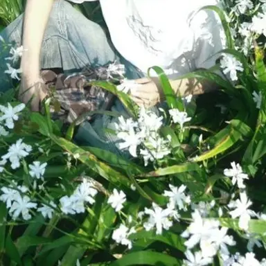 Profile image of 황수현