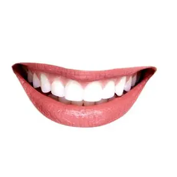 Profile image of 사일러스