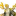 동백