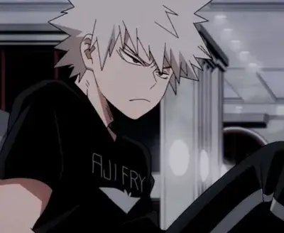 MeagerPurse5921의 Villan user x bakugo