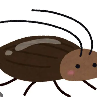 Profile image of 바선생