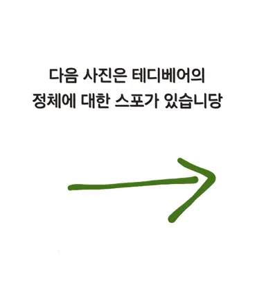 Profile image of 해피엔딩 테디베어