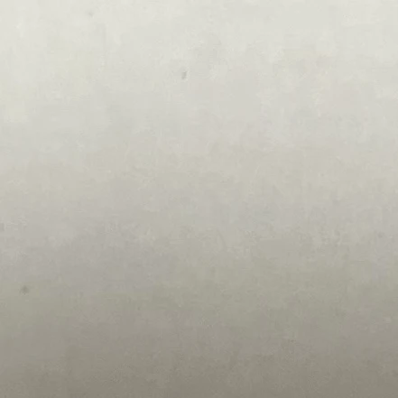 若井滉斗  大森元貴