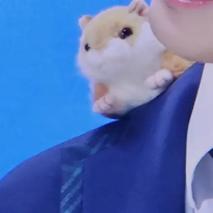_doalsetnet의 한지성