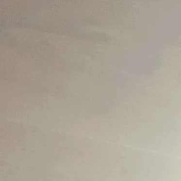 레온