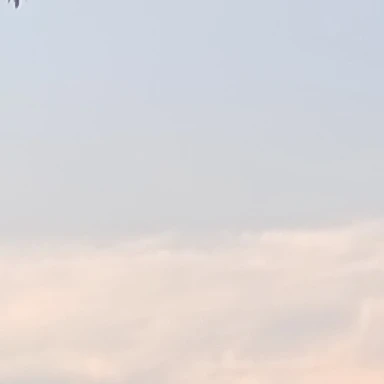 렌지
