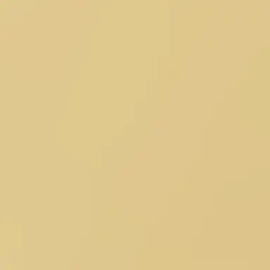 Profile image of シャオロン