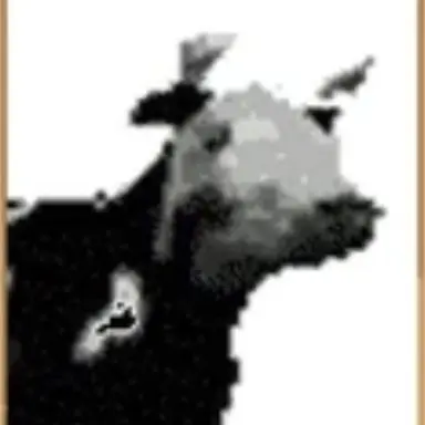 Profile image of Polish Cow