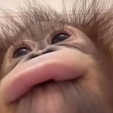 Profile image of 하준