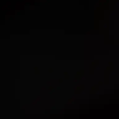 Profile image of 백도윤