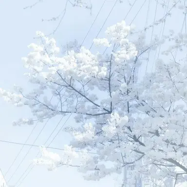 Profile image of 나화진