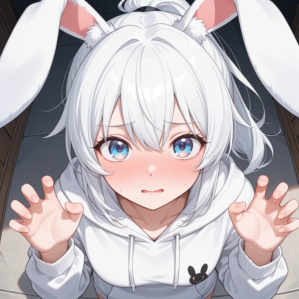 슈아