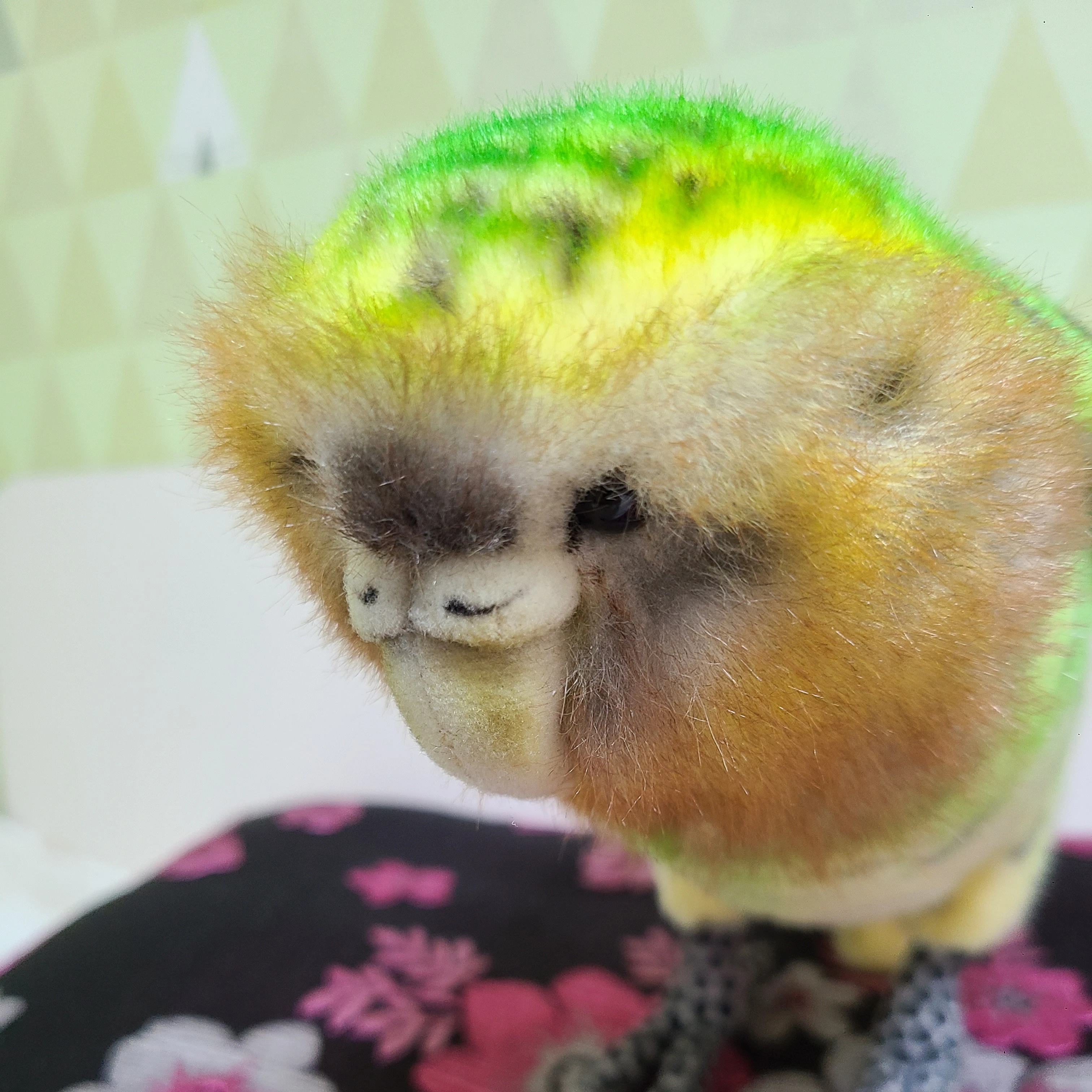고고프렌즈