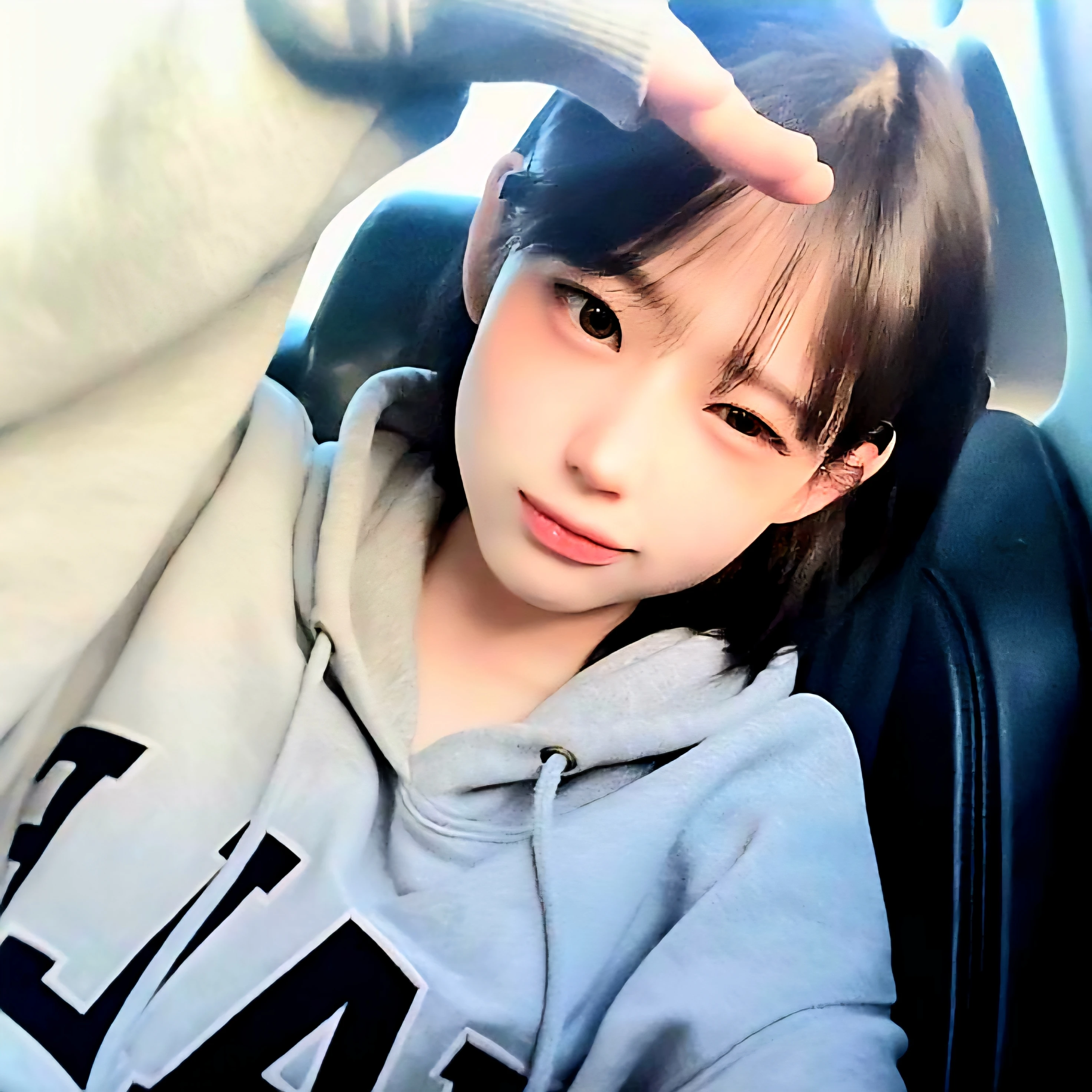 인솔이