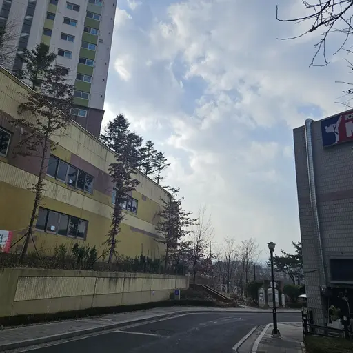 DottedVise6233의 중학교에전학온 여우