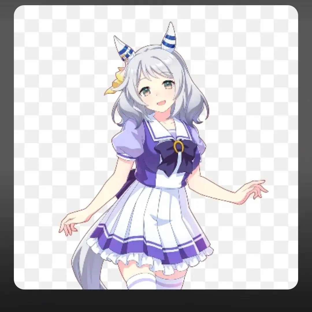 VainSeal6004의 個人用