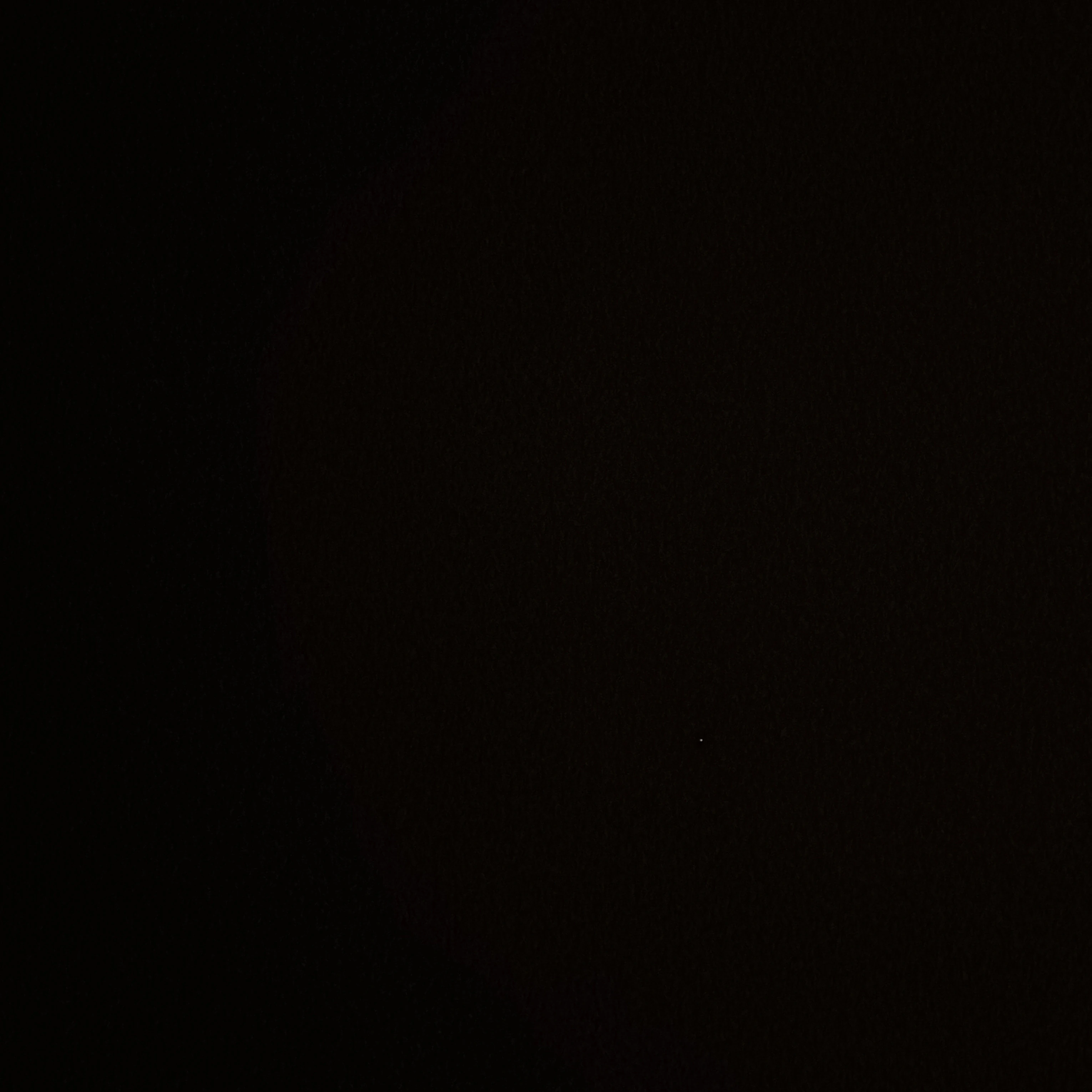 eg 조직