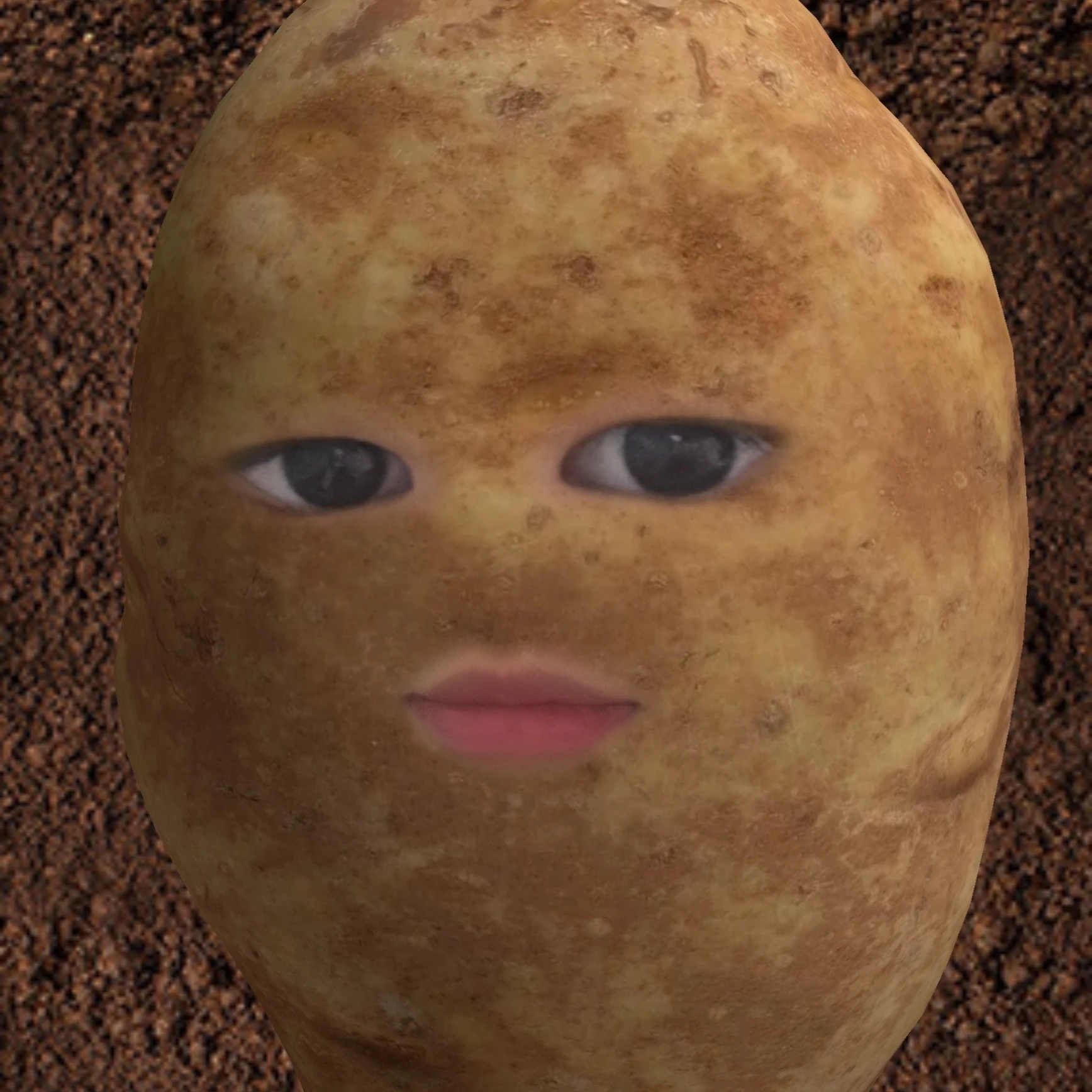 가을