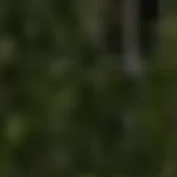 이지훈