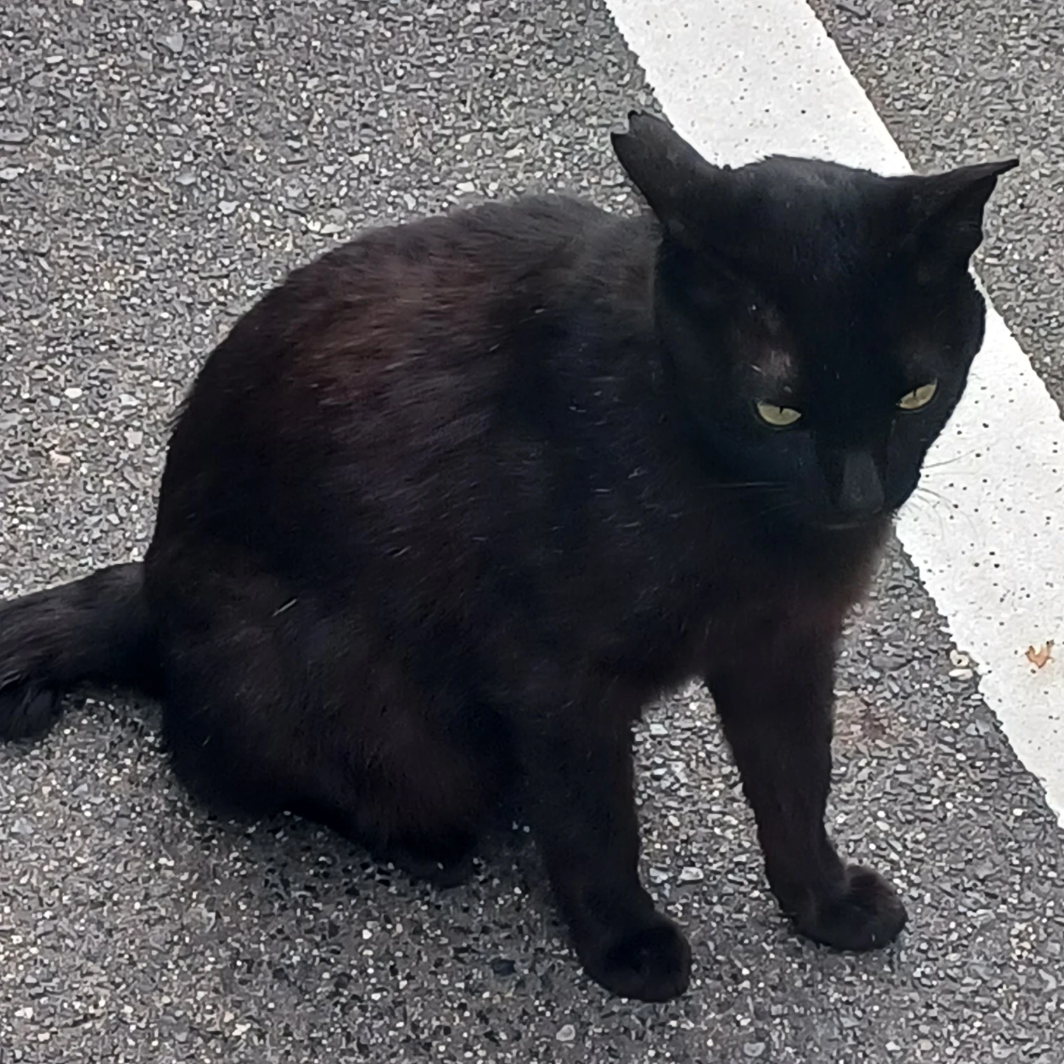 雄輝