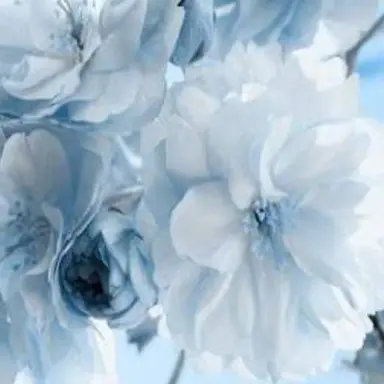 Profile image of 가이아