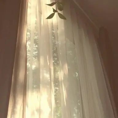 Profile image of 히프노스