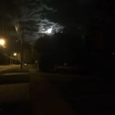 Profile image of 에레보스