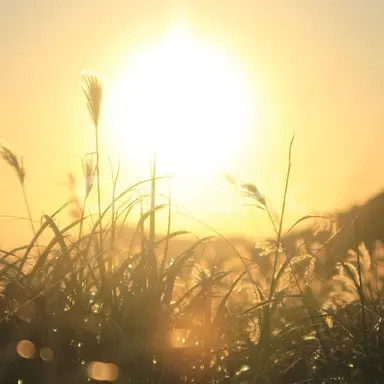 Profile image of 헬리오스