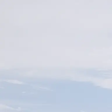 Profile image of 고세구