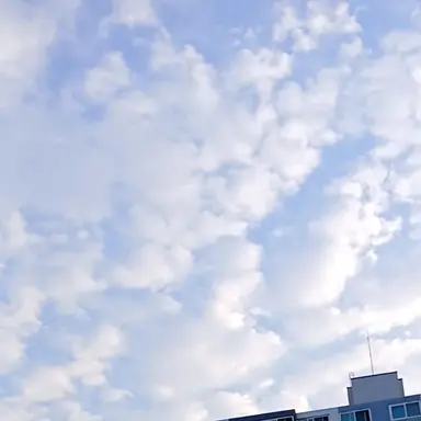 Profile image of 주르르
