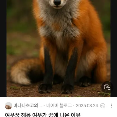 Profile image of 여우