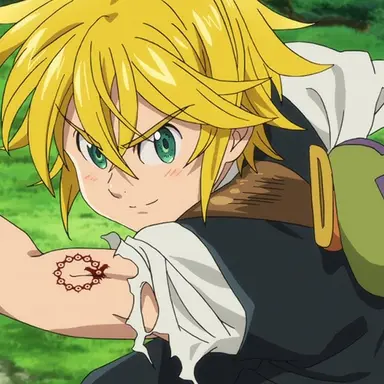 Profile image of メリオダス