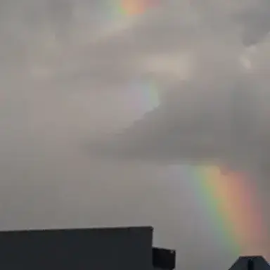 Profile image of Lesbian couple