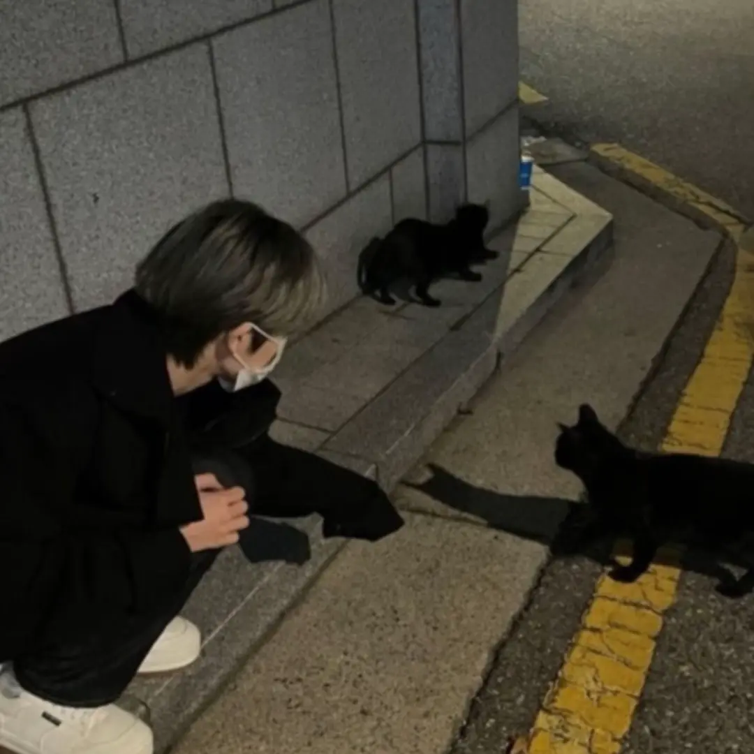 LiveSkua0538의 강씨