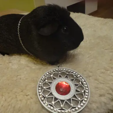 Profile image of 잭 브라이트 박사