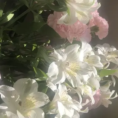 Profile image of 박원빈