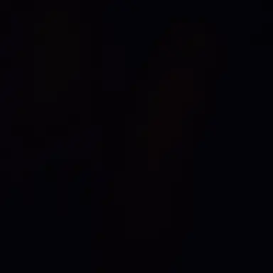 Profile image of 狂暴なマフィア達