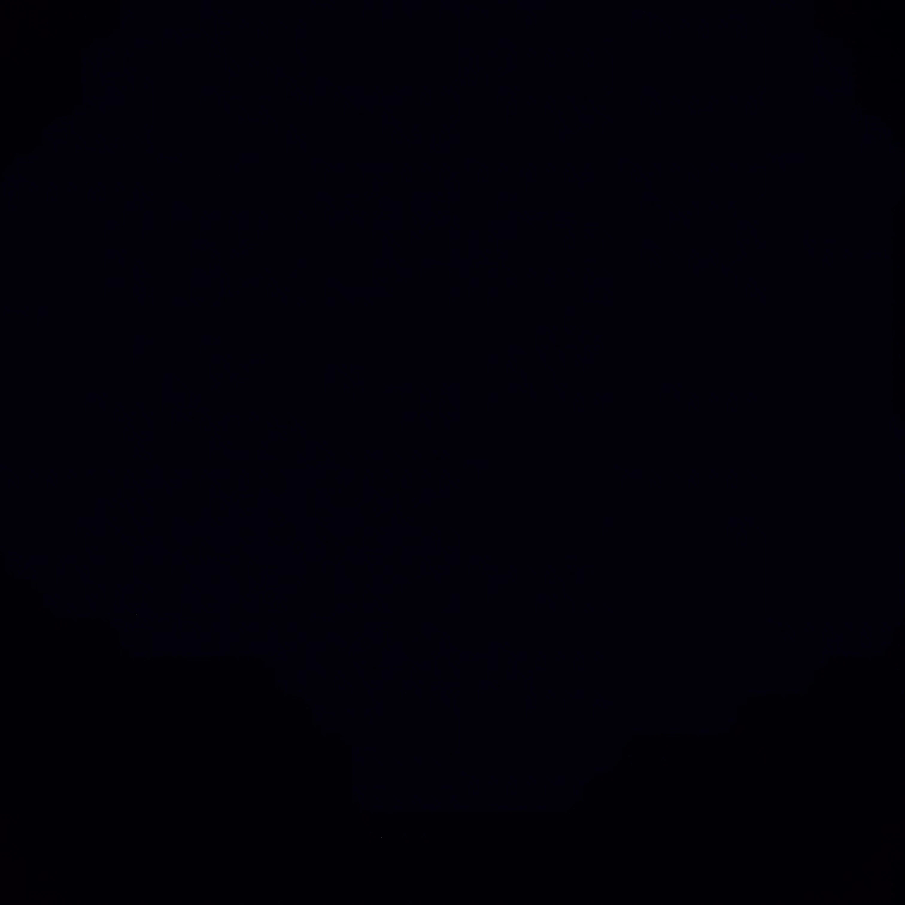 군인