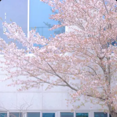 Profile image of 나승엽