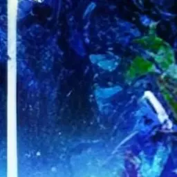 MoodySound5687의 美しく白い薔薇