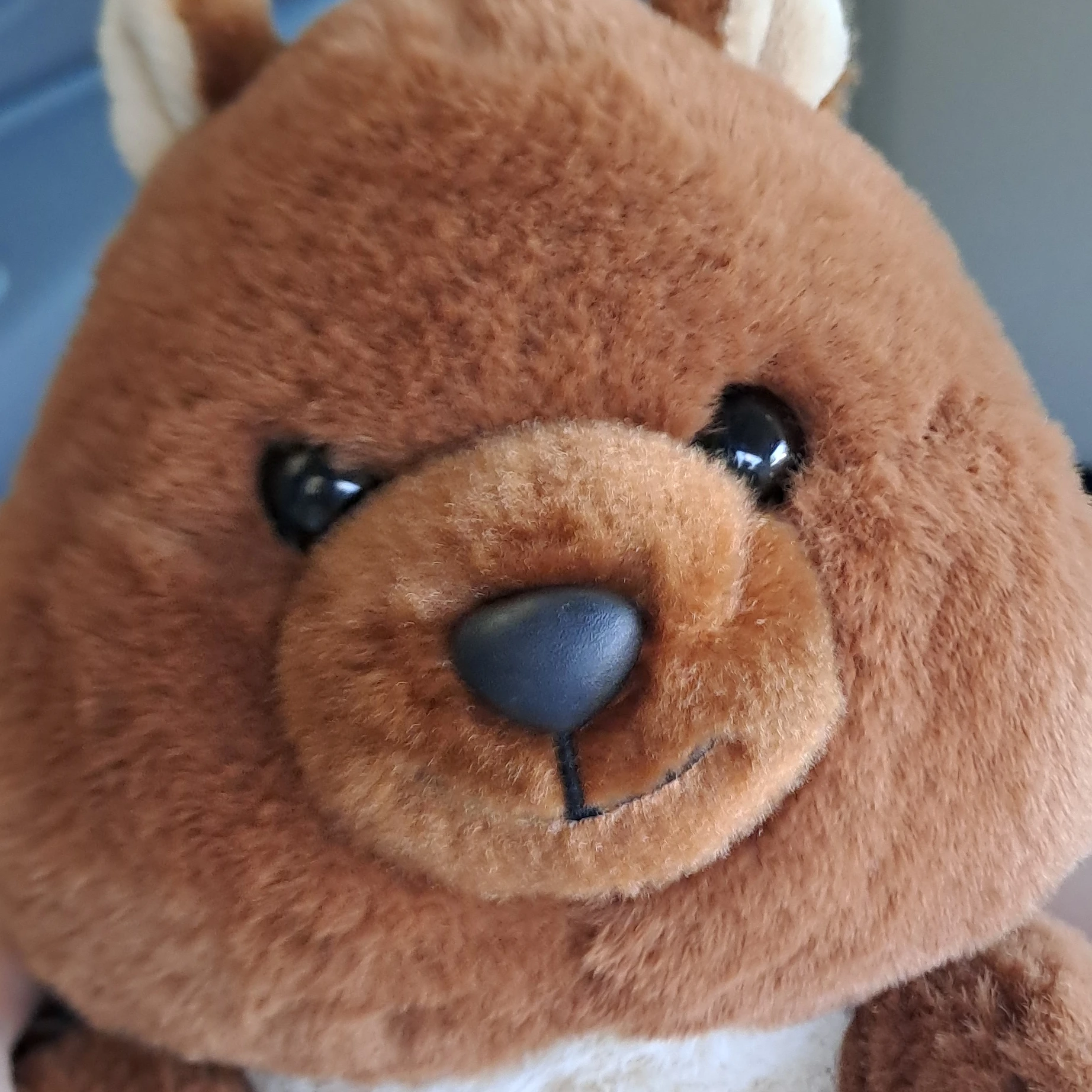 한지성