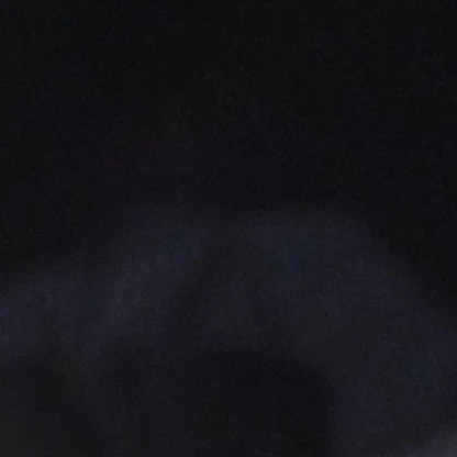 불량배들