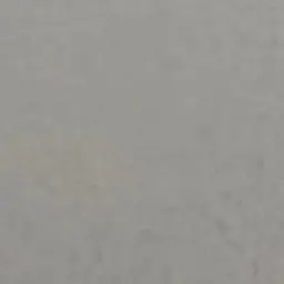 FrankOlive9280의 김동현