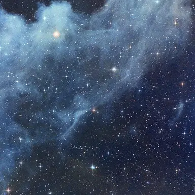 Profile image of 知念侑李