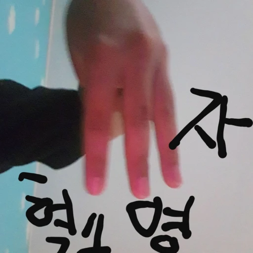탈모탄 조