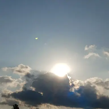 Profile image of 링수환