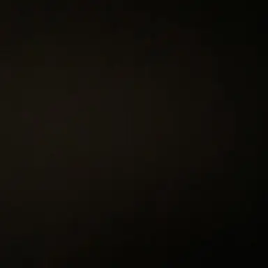 Profile image of 유빈
