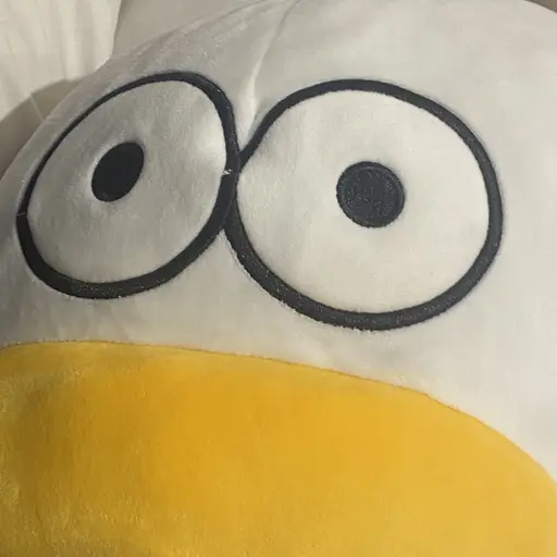 DottedSloth3093의 오둥이