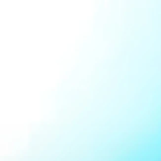 최수호