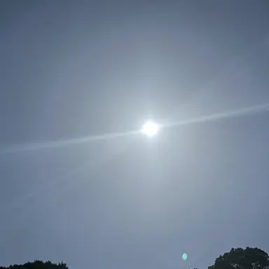 Profile image of オール・フォー・ワン